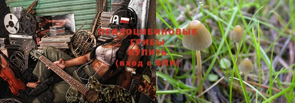 герыч Арсеньев