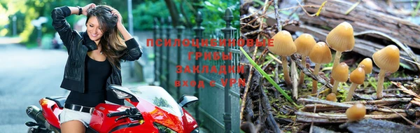 гидропоника Аркадак