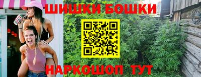 дмт Камышлов