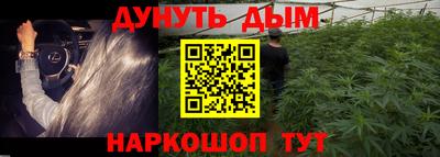 дмт Камышлов
