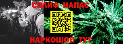 дмт Камышлов