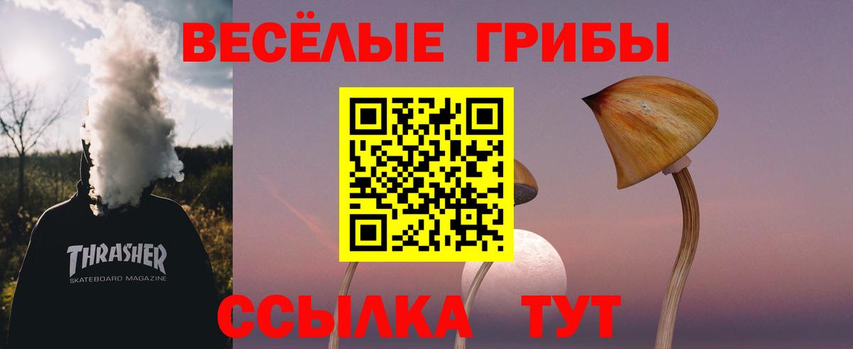 Галлюциногенные грибы MAGIC MUSHROOMS  Вход с VPN  Минусинск  Псилоцибиновые грибы Magic Shrooms 