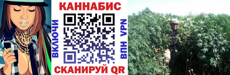 Бошки марихуана SATIVA & INDICA  продажа наркотиков  блэк спрут онион  Минусинск 